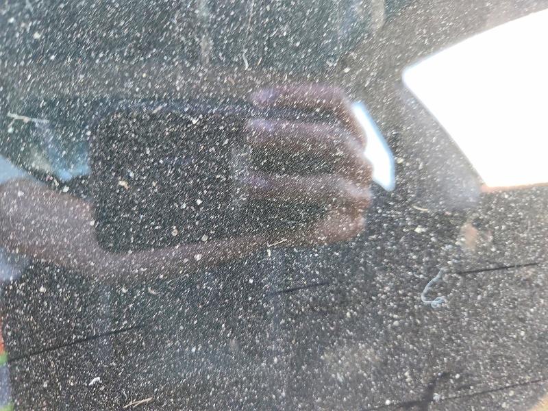 55331036 :رقم المزاد ، 5YJ3E1EA0KF411215 vin ، 2019 Tesla Model 3 مزاد بيع