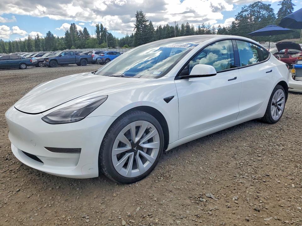 Продажа на аукционе авто 2023 Tesla Model 3, vin: 5YJ3E1EA1PF671453, номер лота: 57211856