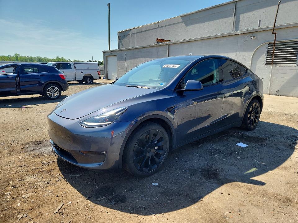 Auction sale of the 2023 Tesla Model Y, vin: 7SAYGDEE0PF608559, lot number: 56862446