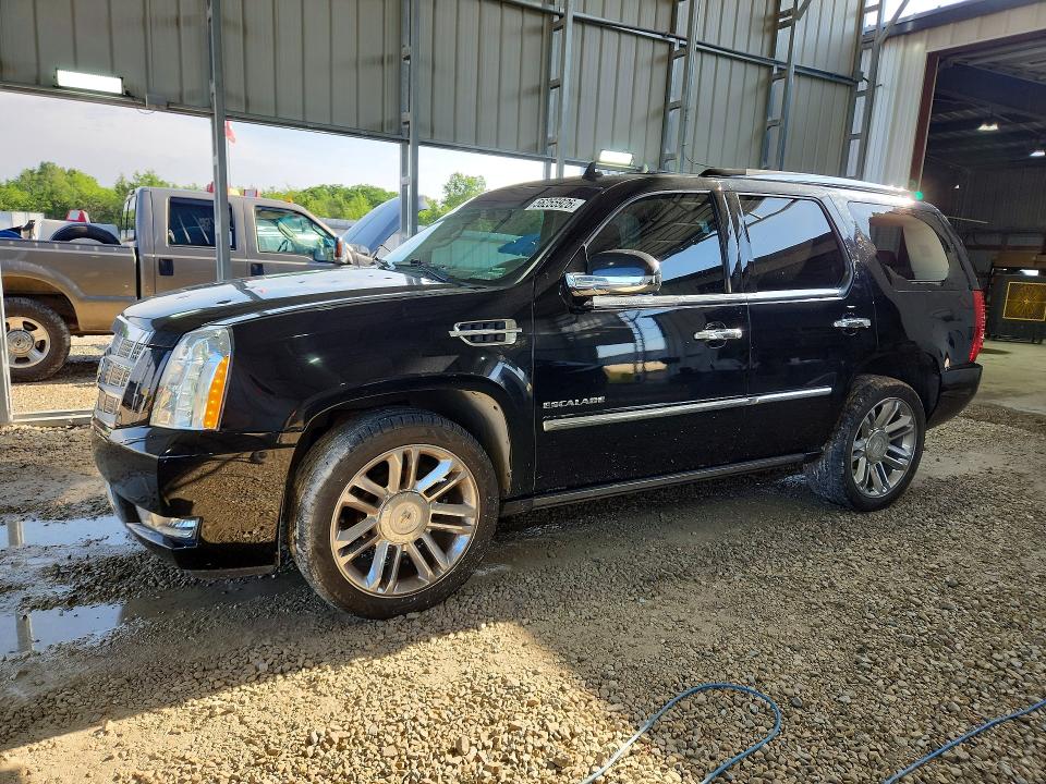 Auction sale of the 2010 Cadillac Escalade, vin: 1GYUKDEF6AR162139, lot number: 56255926