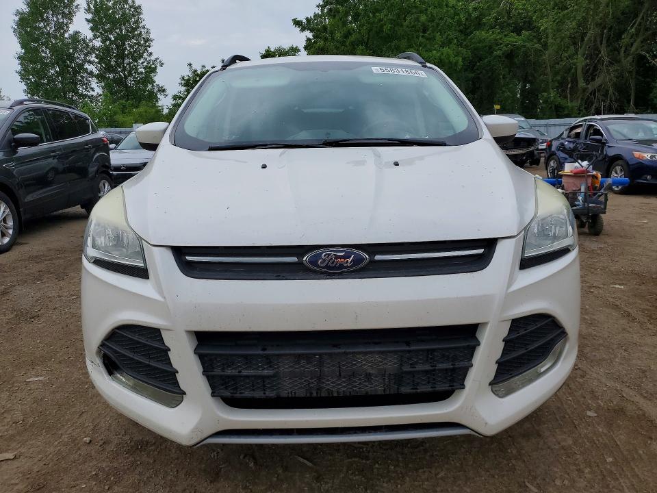 Продаж на аукціоні авто 2014 Ford Escape, vin: 1FMCU0GX8EUA32159, номер лоту: 55831866
