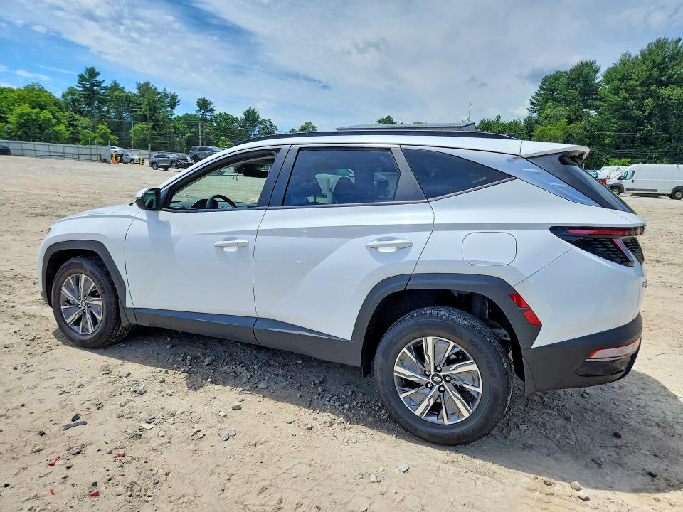 Продаж на аукціоні авто 2023 Hyundai Tucson, vin: KM8JBCA13PU091318, номер лоту: 58285526