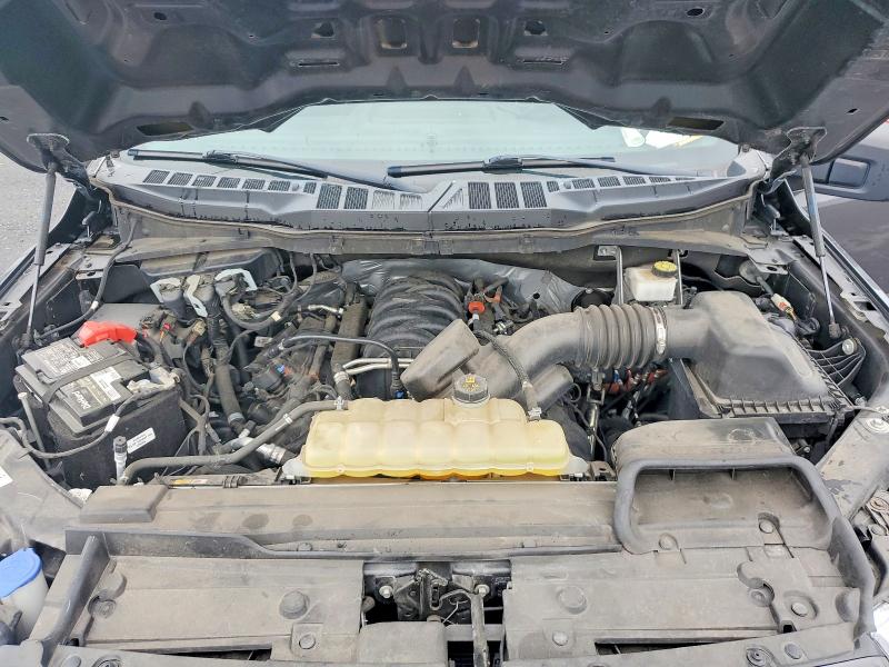 Продажа на аукционе авто 2021 Ford F150, vin: 1FTFW1E53MFB24737, номер лота: 57739346