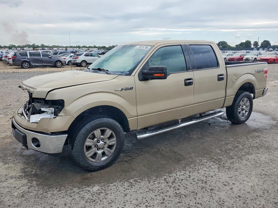 Продажа на аукционе авто 2010 Ford F150, vin: 1FTFW1EV1AFB49471, номер лота: 57825796