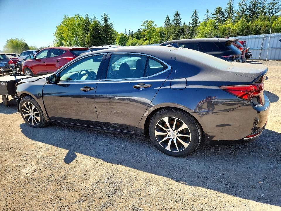 2015 Acura Tlx მანქანა იყიდება აუქციონზე, vin: 19UUB1F53FA801790, აუქციონის ნომერი: 55383176