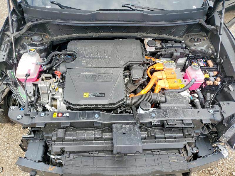 Aukcja sprzedaży 2026 Kia Niro, vin: KNDCP3LE4T5319300, numer aukcji: 55496366