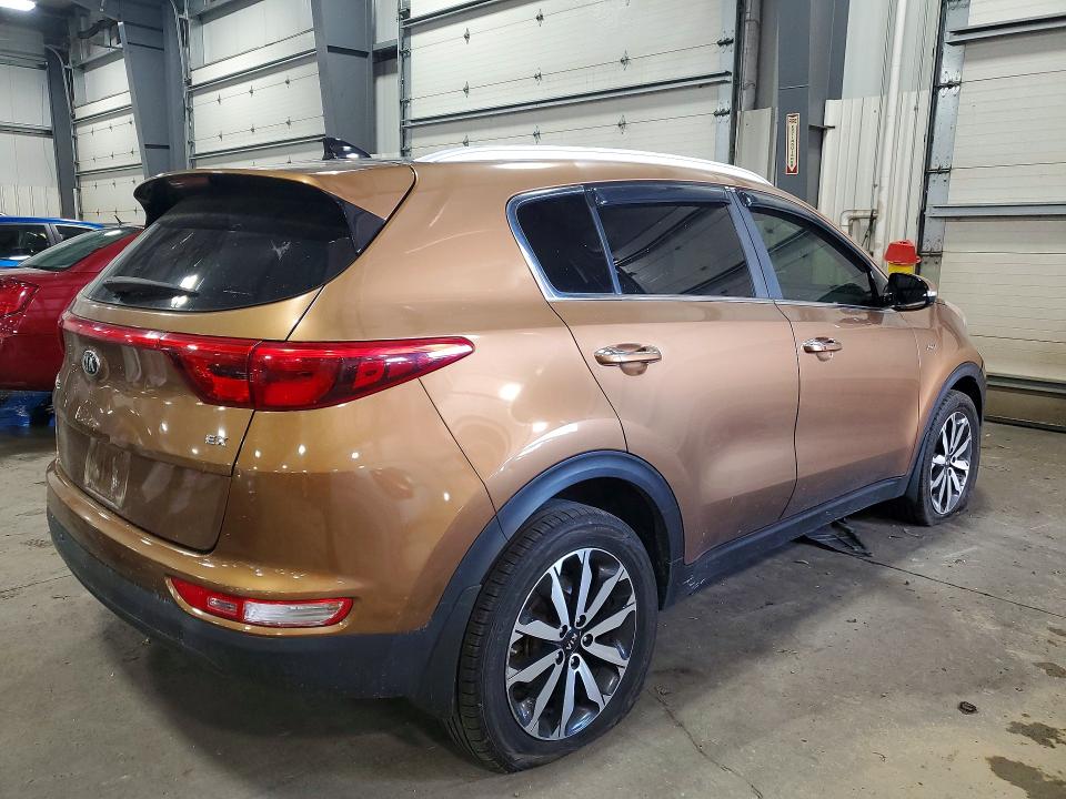 Продаж на аукціоні авто 2017 Kia Sportage, vin: KNDPNCAC6H7167606, номер лоту: 55882666