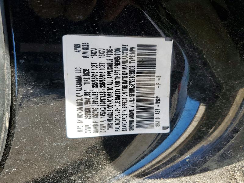 57297906 :رقم المزاد ، 5FNRL38729B055002 vin ، 2009 Honda Odyssey مزاد بيع