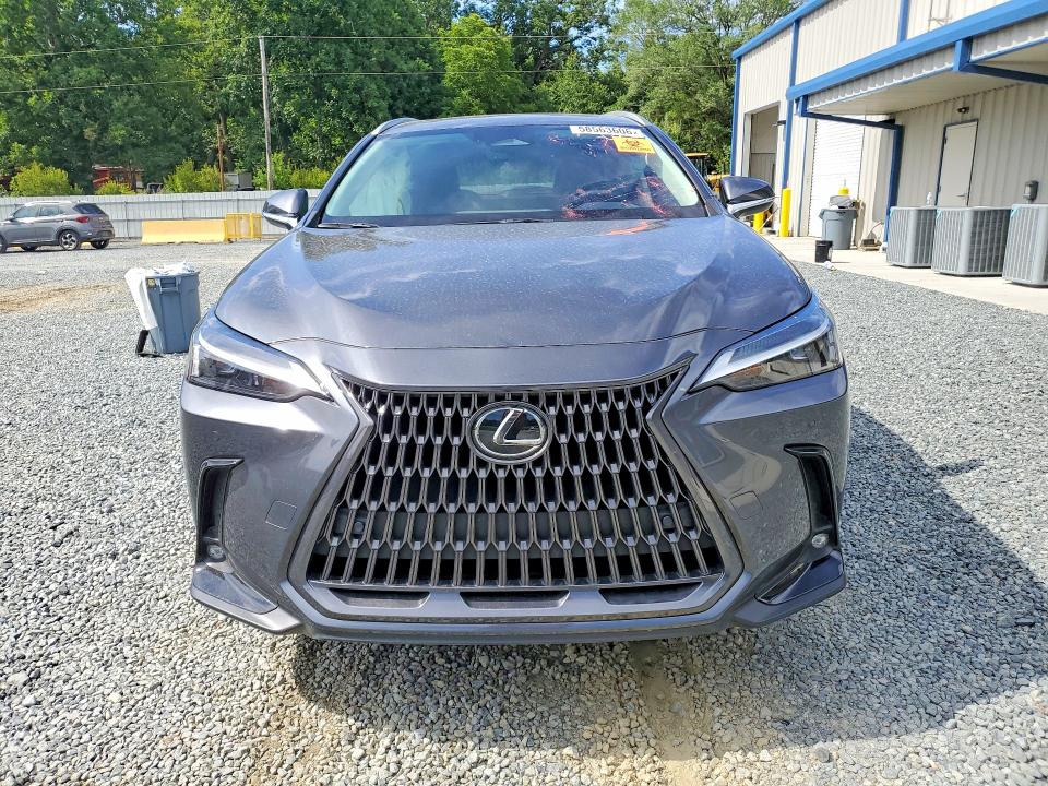 Продажа на аукционе авто 2024 Lexus Nx, vin: 2T2GDCAZ0RC013668, номер лота: 58563606