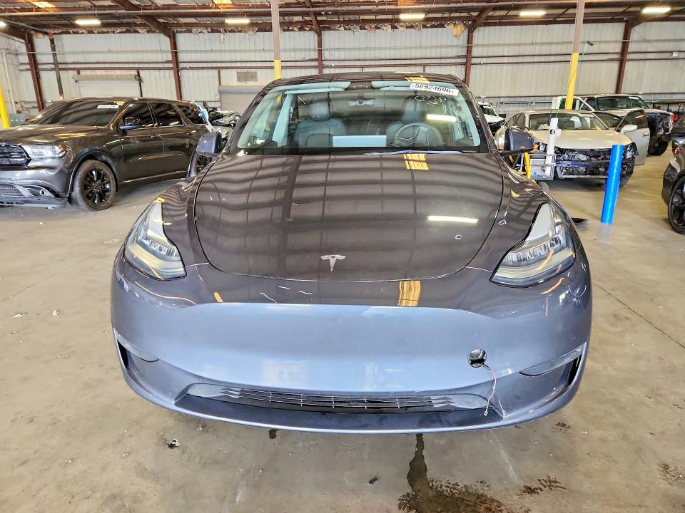 Продаж на аукціоні авто 2023 Tesla Model Y, vin: 7SAYGDEE8PA078645, номер лоту: 58924696