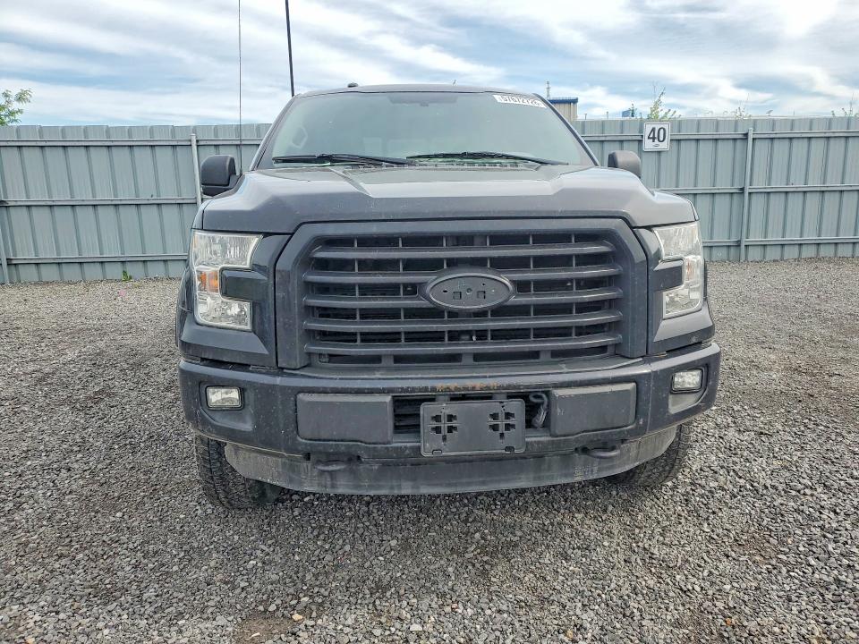 Продаж на аукціоні авто 2016 Ford F150, vin: 1FTEW1EP1GFC92166, номер лоту: 57672726