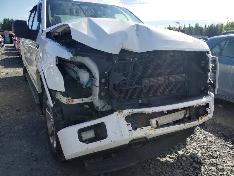 54589326 :رقم المزاد ، 1FTFW1EF2FFB72242 vin ، 2015 Ford F150 مزاد بيع