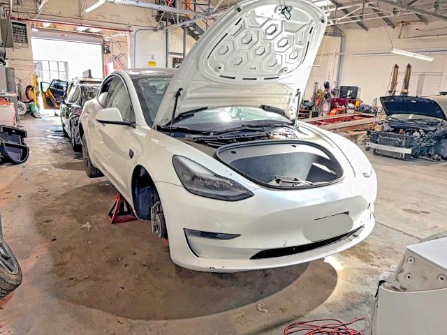 Auction sale of the 2021 Tesla Model 3, vin: 5YJ3E1EA0MF026952, lot number: 54638076