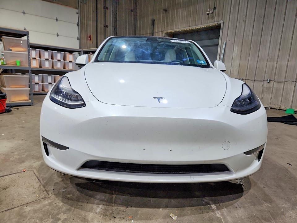 Продажа на аукционе авто 2023 Tesla Model Y, vin: 7SAYGDEE0PF614538, номер лота: 56280396