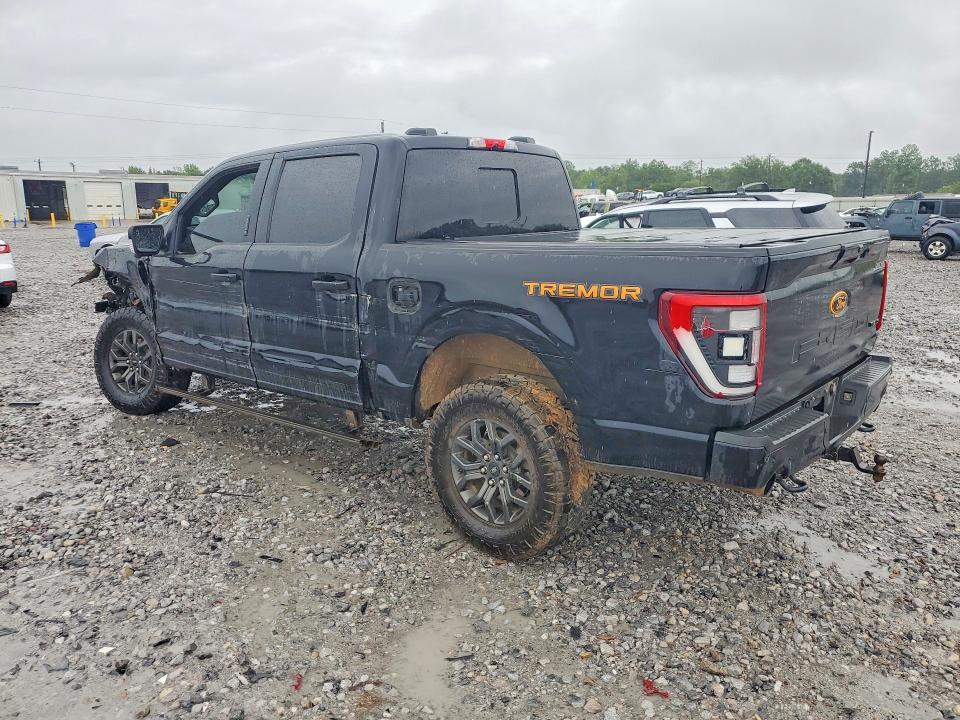 Продажа на аукционе авто 2023 Ford F150, vin: 1FTEW1E82PFA58594, номер лота: 57124946