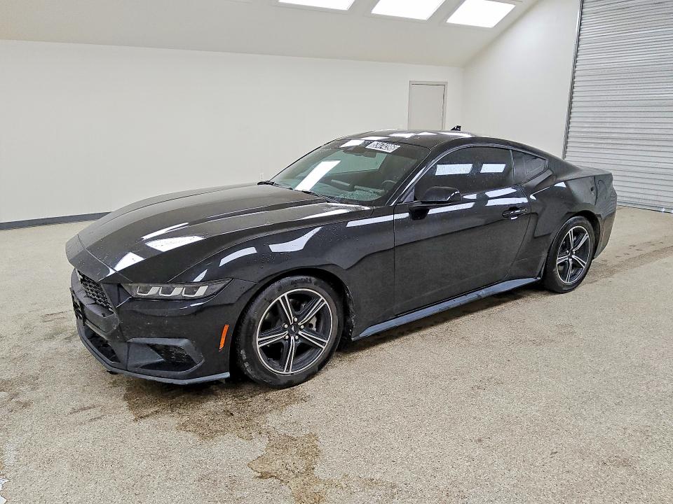 Продаж на аукціоні авто 2024 Ford Mustang, vin: 1FA6P8TH3R5122024, номер лоту: 53474396