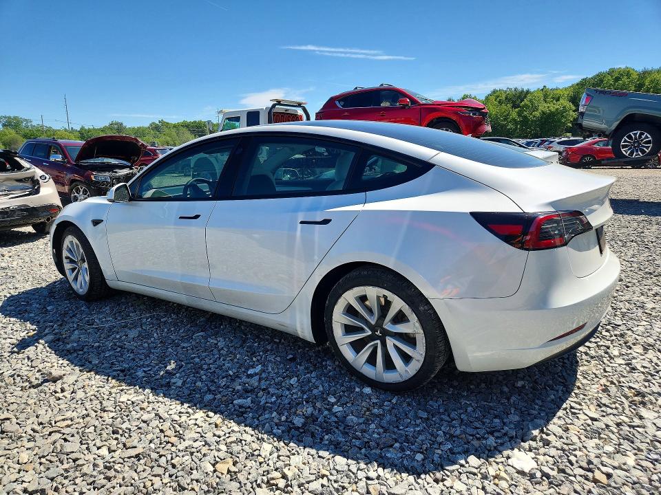 Продажа на аукционе авто 2023 Tesla Model 3, vin: 5YJ3E1EA8PF655654, номер лота: 55815976