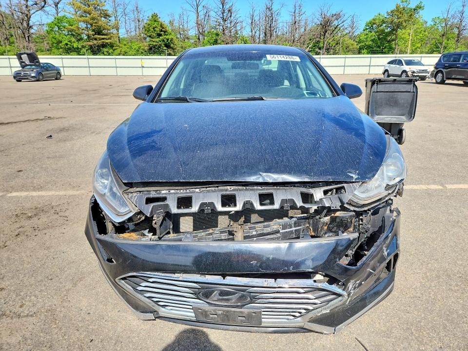 Продажа на аукционе авто 2019 Hyundai Sonata, vin: 5NPE24AF3KH813834, номер лота: 56114286