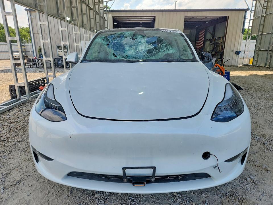 Продаж на аукціоні авто 2023 Tesla Model Y, vin: 7SAYGDEE3PA207780, номер лоту: 56041666