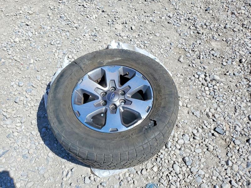2014 Ford F150 მანქანა იყიდება აუქციონზე, vin: 1FTFW1ET3EFC33439, აუქციონის ნომერი: 59137976