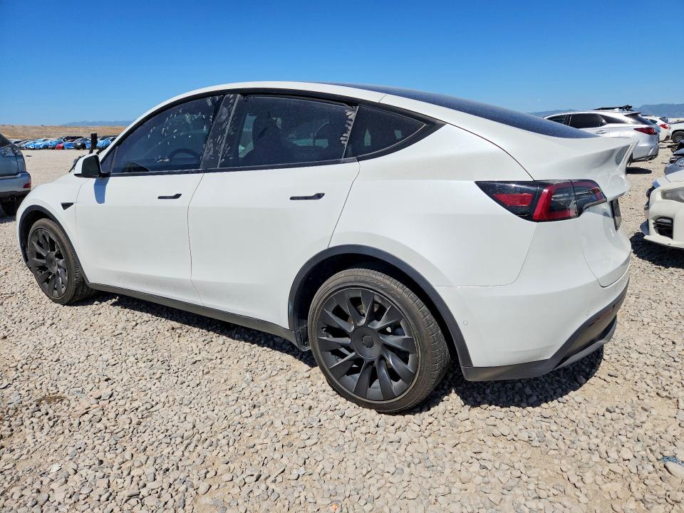 56322126 :رقم المزاد ، 5YJYGDEE2MF278769 vin ، 2021 Tesla Model Y مزاد بيع
