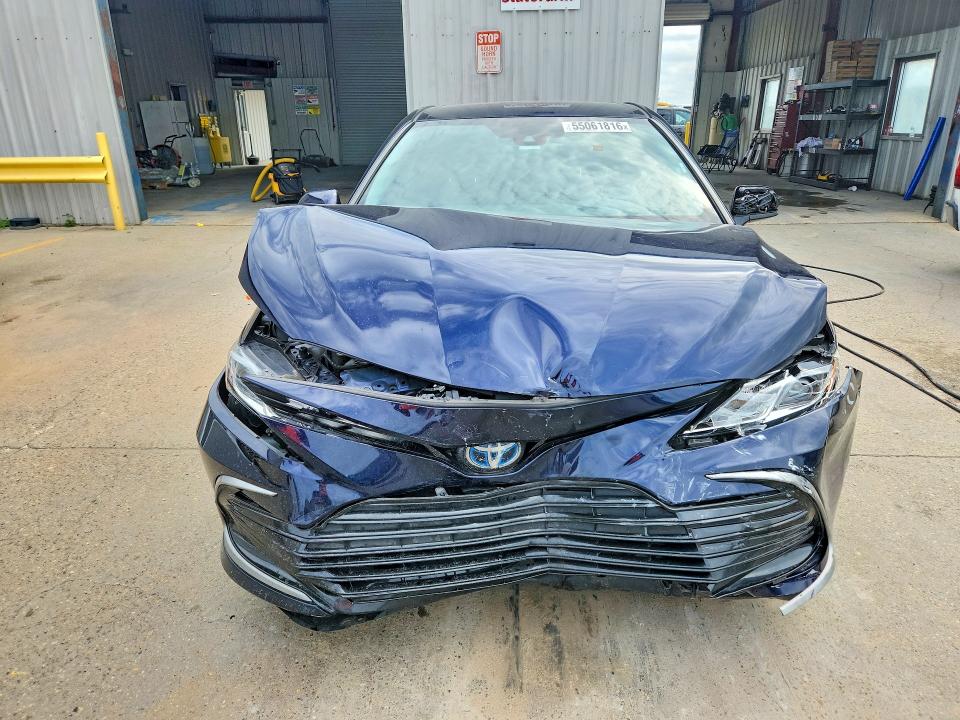 55061816 :رقم المزاد ، 4T1C31AK5MU556342 vin ، 2021 Toyota Camry مزاد بيع