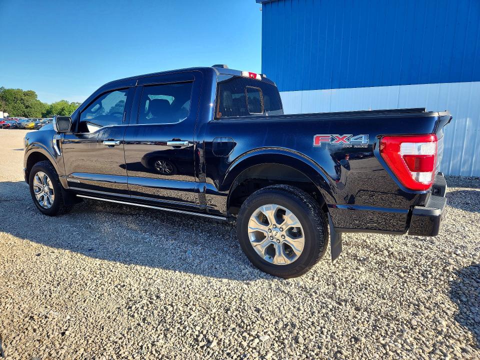 58393116 :رقم المزاد ، 1FTFW1ED7MFB13425 vin ، 2021 Ford F150 مزاد بيع