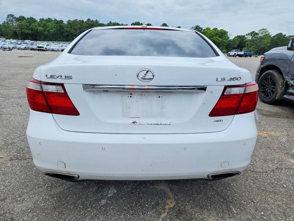 Продажа на аукционе авто 2009 Lexus Ls, vin: JTHCL46F095002966, номер лота: 55525556