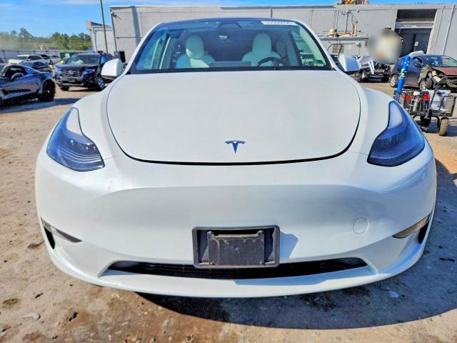 Продажа на аукционе авто 2023 Tesla Model Y, vin: 7SAYGDEE1PF802923, номер лота: 55568696