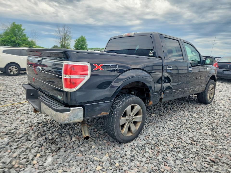 56853616 :رقم المزاد ، 1FTFW1EV1AFD36662 vin ، 2010 Ford F150 مزاد بيع