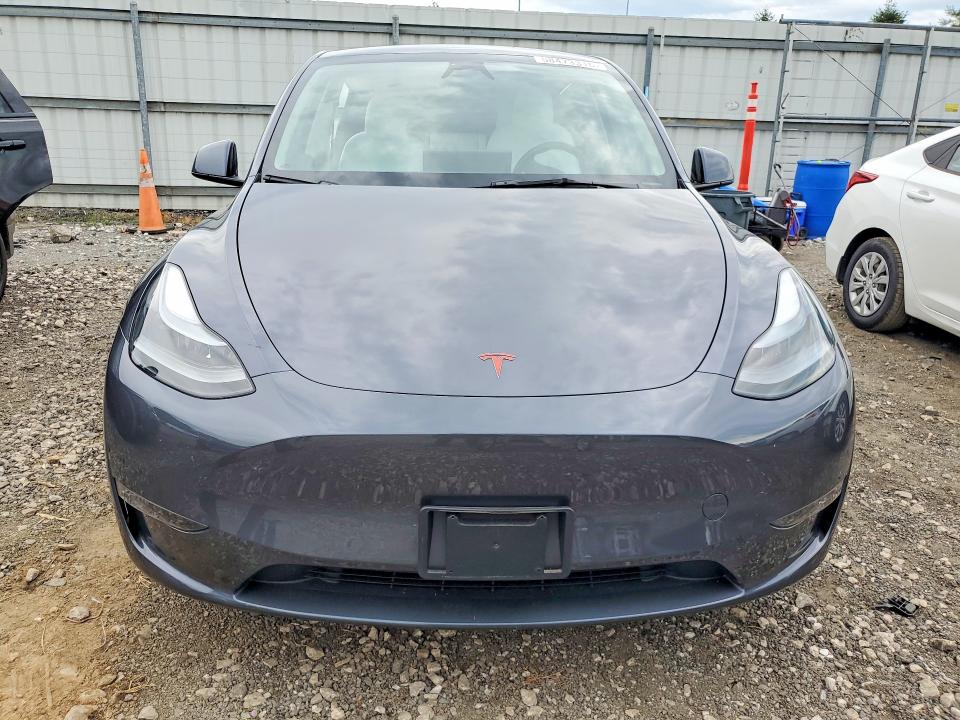 Aukcja sprzedaży 2023 Tesla Model Y, vin: 7SAYGDEE4PF886350, numer aukcji: 58473316