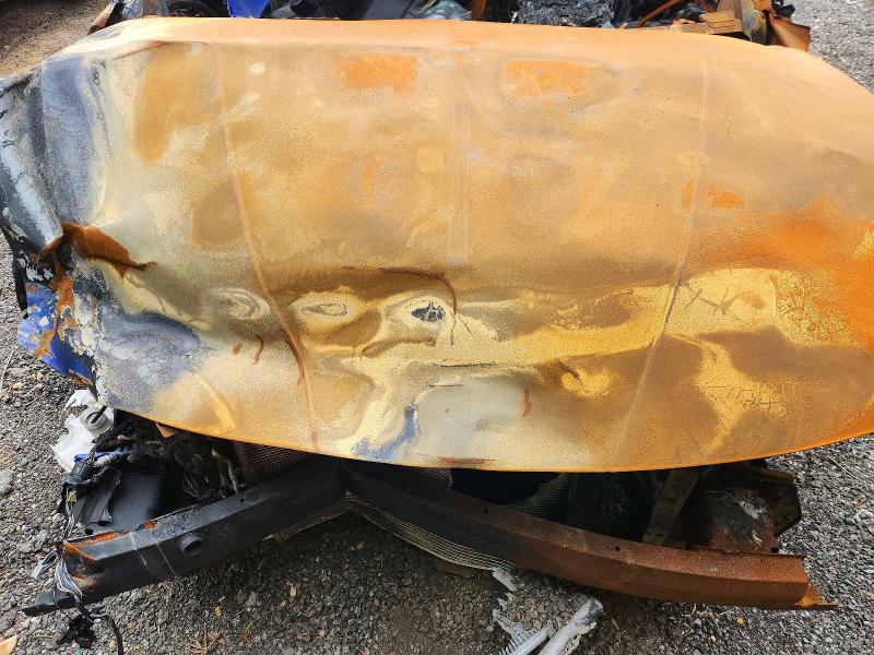 Aukcja sprzedaży 2025 Hyundai Elantra, vin: KMHLS4DG2SU034048, numer aukcji: 56316876