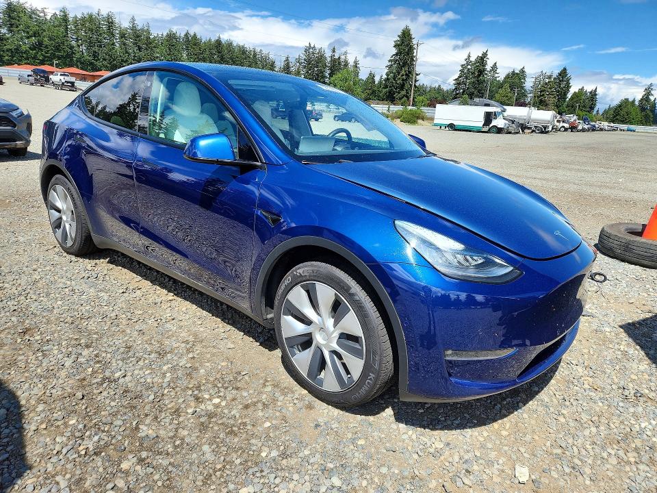 Продаж на аукціоні авто 2021 Tesla Model Y, vin: 5YJYGDEE7MF219846, номер лоту: 56179056