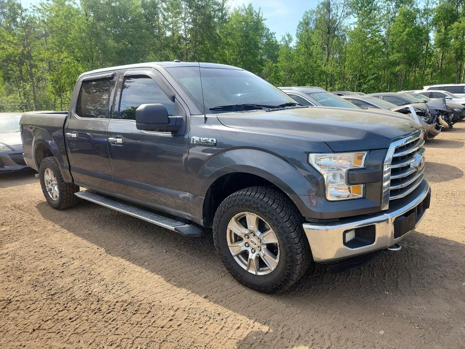 54393736 :رقم المزاد ، 1FTEW1EF7GFA73901 vin ، 2016 Ford F150 مزاد بيع