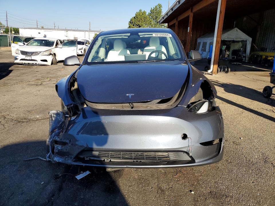 Продаж на аукціоні авто 2023 Tesla Model Y, vin: 7SAYGDEE8PF783884, номер лоту: 59129566
