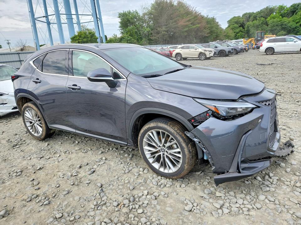 Продаж на аукціоні авто 2025 Lexus Nx350, vin: 2T2GKCEZXSC045338, номер лоту: 57733346