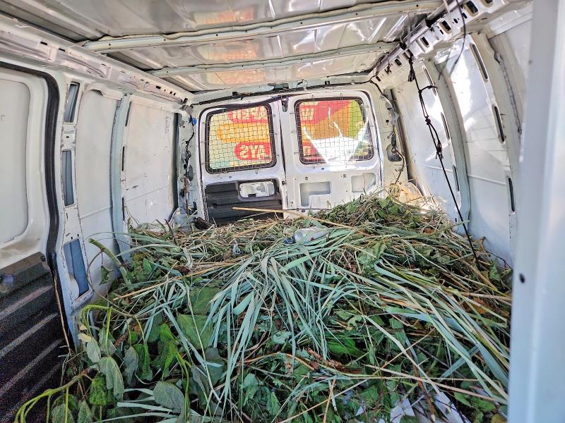 2006 Chevrolet Express მანქანა იყიდება აუქციონზე, vin: 1GCGG25V261262454, აუქციონის ნომერი: 54983726
