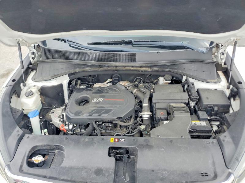 Aukcja sprzedaży 2017 Kia Sorento, vin: 5XYPH4A12HG260217, numer aukcji: 55535776
