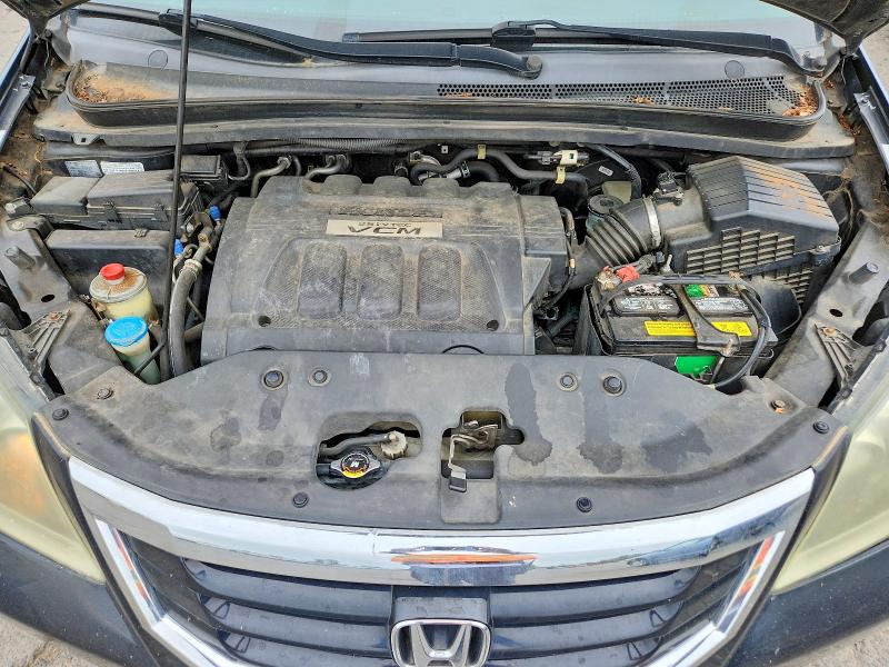 55709766 :رقم المزاد ، 5FNRL38768B114406 vin ، 2008 Honda Odyssey مزاد بيع
