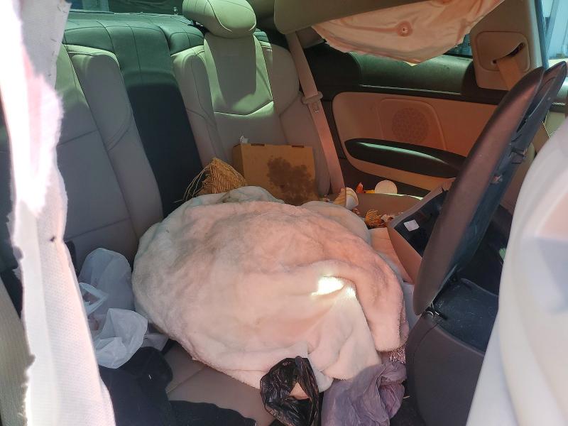 58596636 :رقم المزاد ، 1G6AB1RXXH0173172 vin ، 2017 Cadillac Ats مزاد بيع