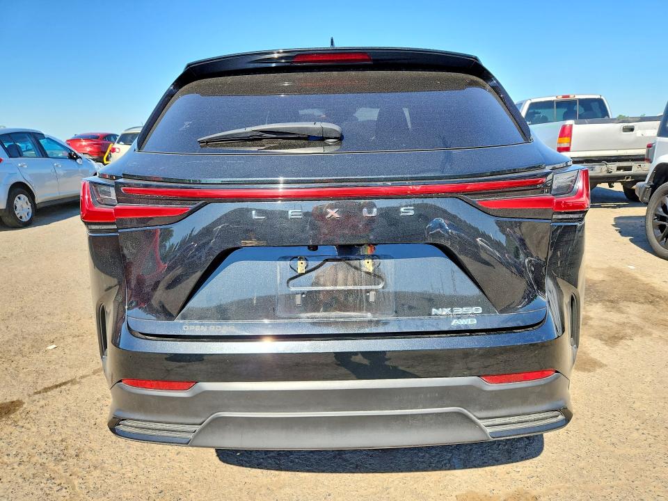 Продажа на аукционе авто 2022 Lexus Nx, vin: JTJAGCEZ4N2002156, номер лота: 55946346