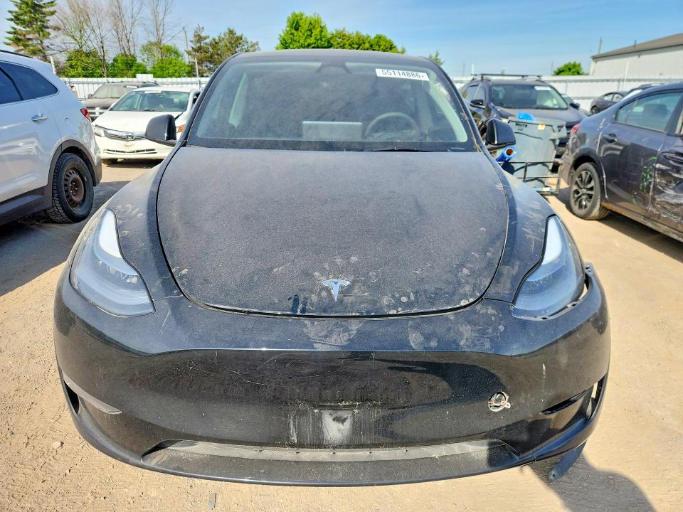Продажа на аукционе авто 2024 Tesla Model Y, vin: 7SAYGDEE8RF018595, номер лота: 55114886