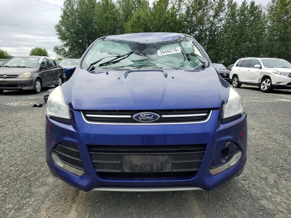 56448776 :رقم المزاد ، 1FMCU0H90DUC55875 vin ، 2013 Ford Escape مزاد بيع
