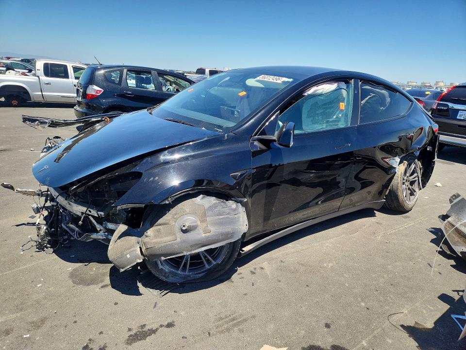 Продаж на аукціоні авто 2024 Tesla Model Y, vin: 7SAYGDED4RF202522, номер лоту: 56312496