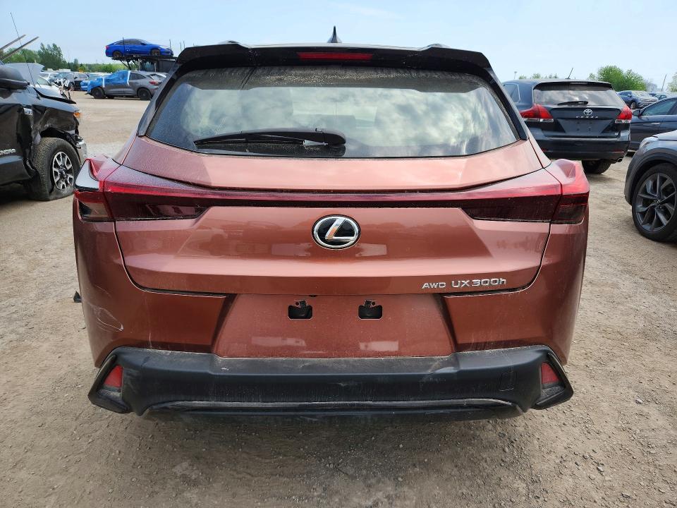 Продажа на аукционе авто 2025 Lexus Ux 300h, vin: JTHUCJDH3S2008839, номер лота: 56315646