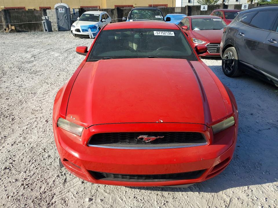 2013 Ford Mustang მანქანა იყიდება აუქციონზე, vin: 1ZVBP8AM3D5204298, აუქციონის ნომერი: 57752136
