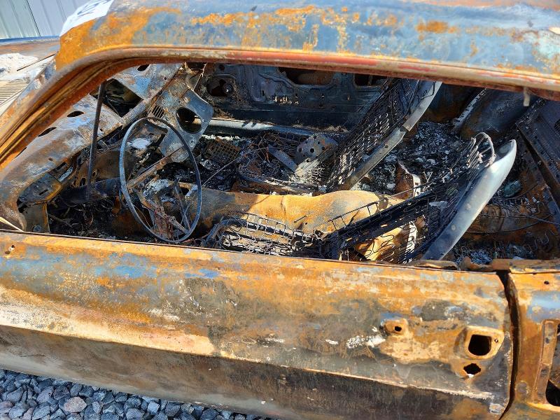 Продаж на аукціоні авто 1969 Ford Mustang, vin: 9R02S149652, номер лоту: 55183926