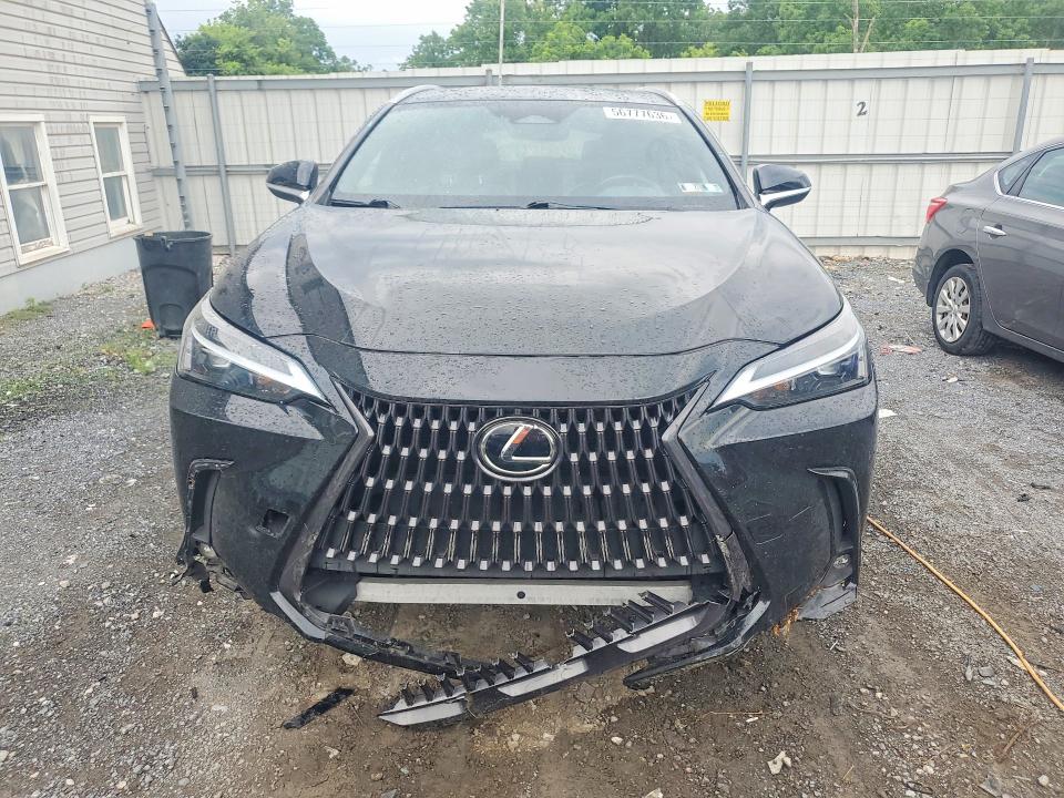 56777636 :رقم المزاد ، 2T2AKCEZ1NC005160 vin ، 2022 Lexus Nx مزاد بيع