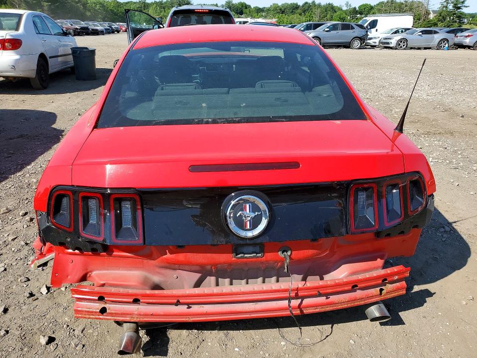 Продаж на аукціоні авто 2014 Ford Mustang, vin: 1ZVBP8AMXE5249496, номер лоту: 55429016