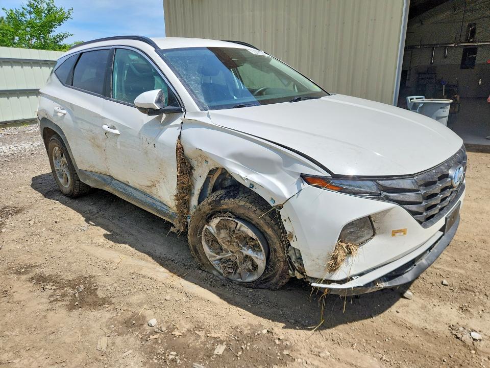 Продажа на аукционе авто 2024 Hyundai Tucson, vin: 5NMJBCDE1RH297184, номер лота: 55415266